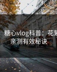 【紧急】糖心vlog科普：花絮背后5条亲测有效秘诀