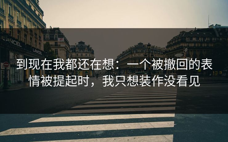 到现在我都还在想：一个被撤回的表情被提起时，我只想装作没看见