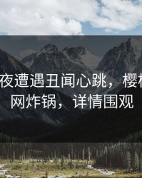 大V在深夜遭遇丑闻心跳，樱桃视频全网炸锅，详情围观
