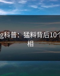 糖心vlog科普:猛料背后10个细节真相