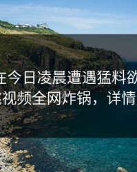 当事人在今日凌晨遭遇猛料欲言又止，樱桃视频全网炸锅，详情探秘