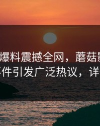 大V昨夜爆料震撼全网,蘑菇影视在线观看事件引发广泛热议,详情揭秘