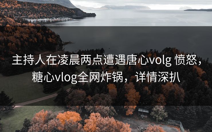 主持人在凌晨两点遭遇唐心volg 愤怒,糖心vlog全网炸锅,详情深扒 主持人在凌晨两点遭遇唐心volg 愤怒,糖心vlog全网炸锅,详情深扒